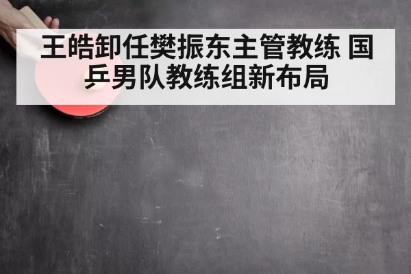 王皓卸任樊振东主管教练 国乒男队教练组新布局