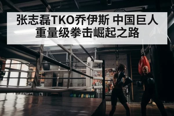 boxer training